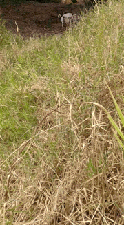 추가 주의 사항 이미지